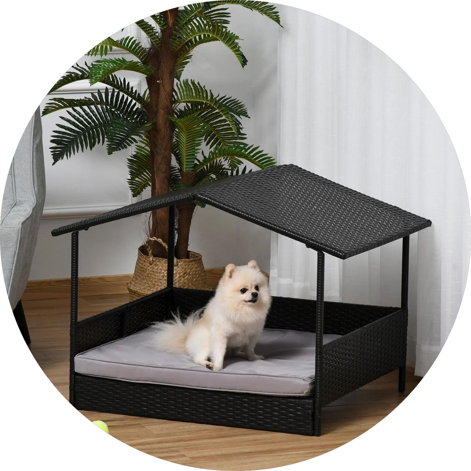 Pet